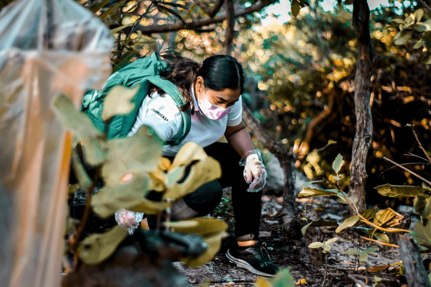 Servicio a escala: Starbucks México une a la comunidad para limpiar playas, ríos y bosques