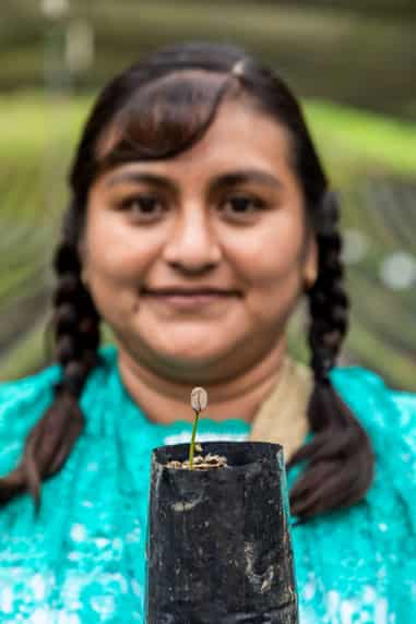 Todos Sembramos Café regresa a las tiendas de Starbucks en México y anuncia un laboratorio de estudio de suelos en alianza con la Universidad Autónoma Chapingo