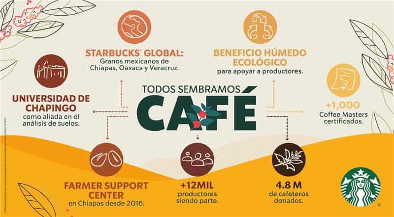 El programa “Todos Sembramos Café” de Starbucks ha apoyado a más de 12 mil caficultores mexicanos en la última década