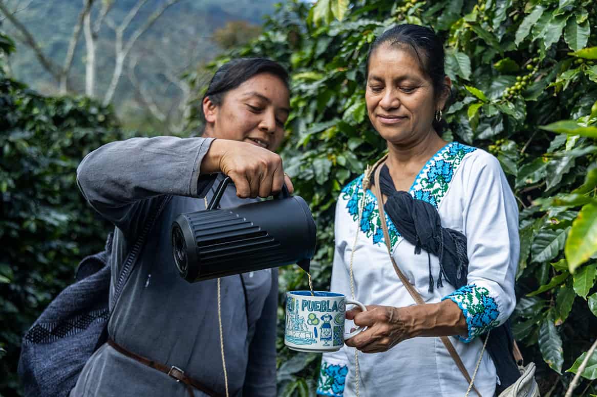 STARBUCKS MÉXICO IMPULSA EL CRECIMIENTO AGRÍCOLA CON LA 11ª EDICIÓN DE “TODOS SEMBRAMOS CAFÉ”